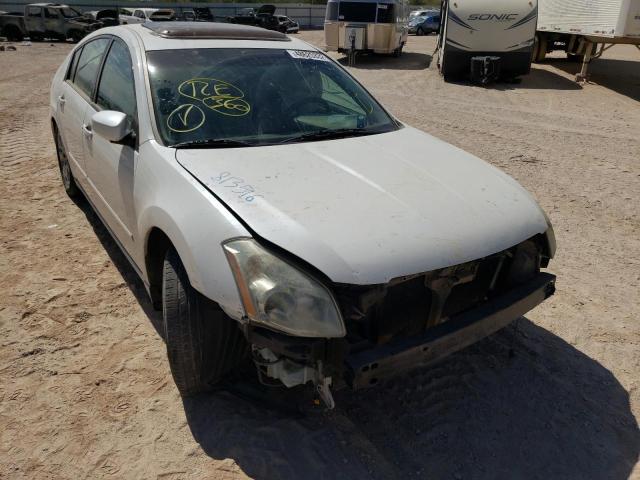 NISSAN MAXIMA SE 2008 with VIN 1N4BA41E18C813516 - Photo from auction
