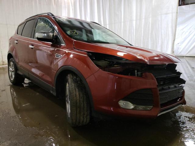 Photo 1 from auction – 2014 FORD ESCAPE SE with VIN 1FMCU9GXXEUB10977