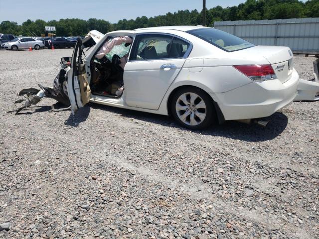 Photo 3 from auction – 2010 HONDA ACCORD EXL with VIN 5KBCP3F84AB016858