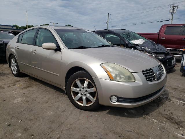 NISSAN MAXIMA SE 2006 with VIN 1N4BA41E16C818082 - Photo from auction