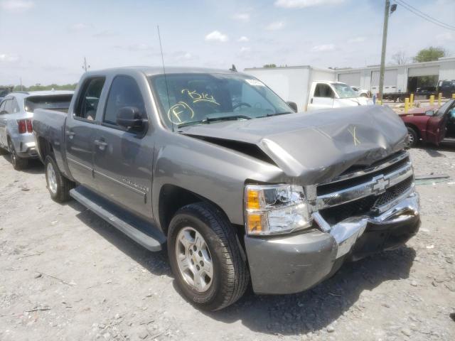 CHEVROLET SILVERADO 2009 with VIN 3GCEC23J89G202672 - Photo from auction
