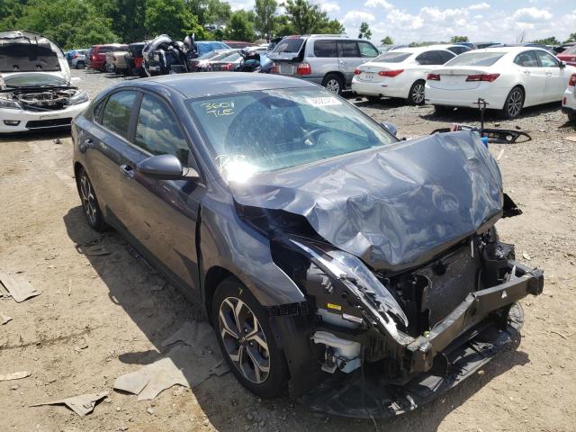 KIA FORTE FE 2019 with VIN 3KPF24AD8KE078341 - Photo from auction