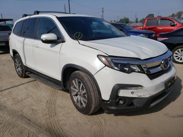 HONDA PILOT EXL 2020 with VIN 5FNYF5H51LB009388 - Photo from auction