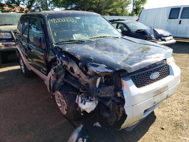 FORD ESCAPE HEV 2007 with VIN 1FMCU59H57KA15949 - Photo from auction