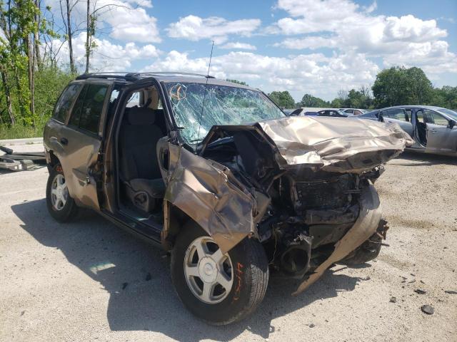 CHEVROLET TRAILBLAZE 2002 with VIN 1GNDT13S322445018 - Photo from auction