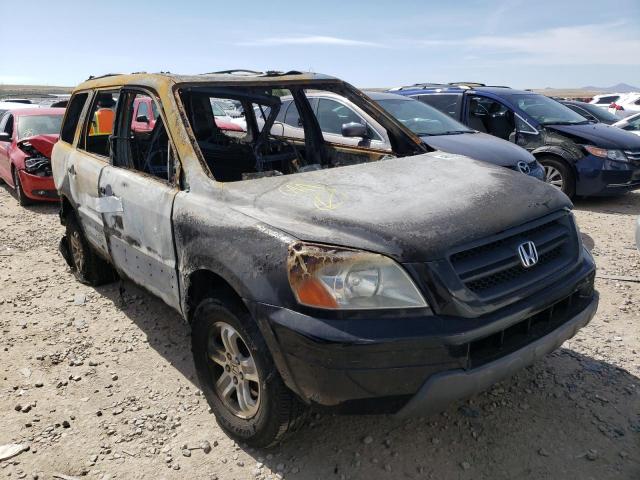 HONDA PILOT EX 2003 with VIN 2HKYF184X3H601910 - Photo from auction