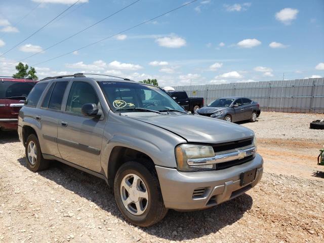CHEVROLET TRAILBLAZE 2005 with VIN 1GNDT13SX52223094 - Photo from auction