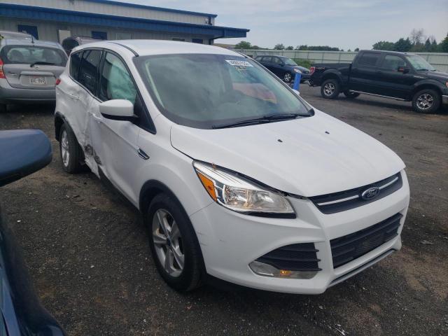 Photo 1 from auction – 2014 FORD ESCAPE SE with VIN 1FMCU0GX0EUD51667