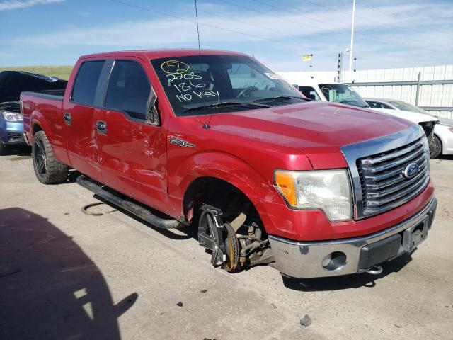 Photo 1 from auction – 2010 FORD F150 SUPER with VIN 1FTFW1EV8AFC71440