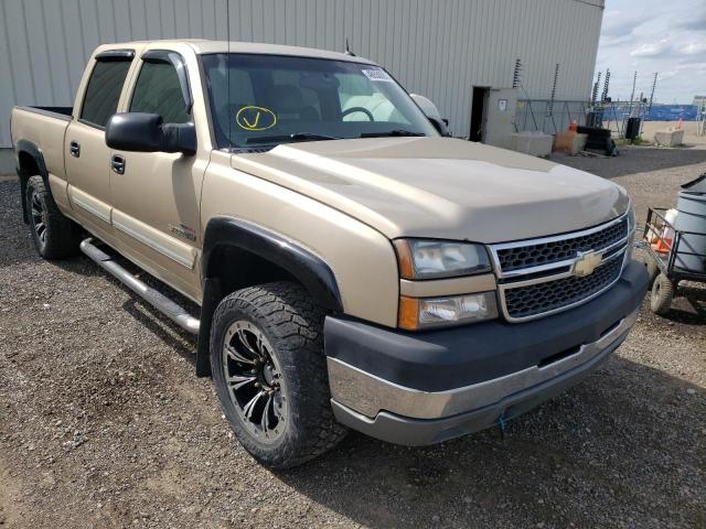 CHEVROLET SILVERADO 2005 with VIN 1GCHK23295F915746 - Photo from auction