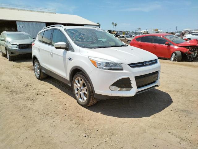 FORD ESCAPE TIT 2014 with VIN 1FMCU0JX0EUE27414 - Photo from auction