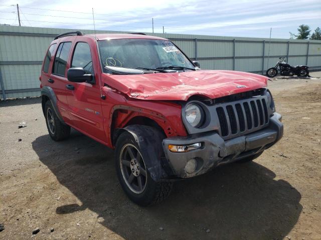 JEEP LIBERTY SP 2003 with VIN 1J4GL48K33W692284 - Photo from auction