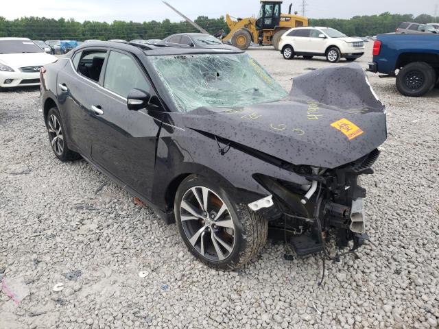NISSAN MAXIMA 3.5 2017 with VIN 1N4AA6AP1HC404246 - Photo from auction