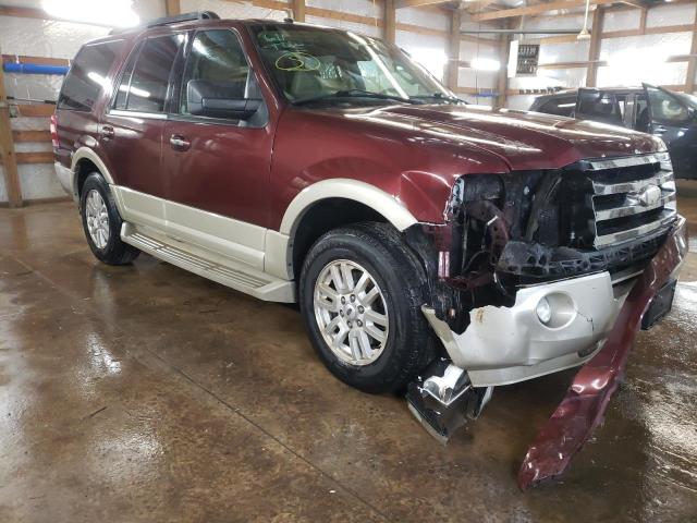 FORD EXPEDITION 2009 with VIN 1FMFU18589EB03599 - Photo from auction