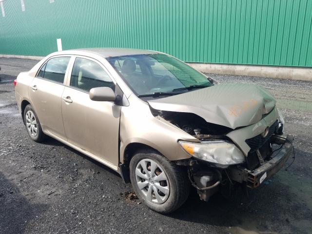 TOYOTA COROLLA BA 2010 with VIN 2T1BU4EE5AC221013 - Photo from auction