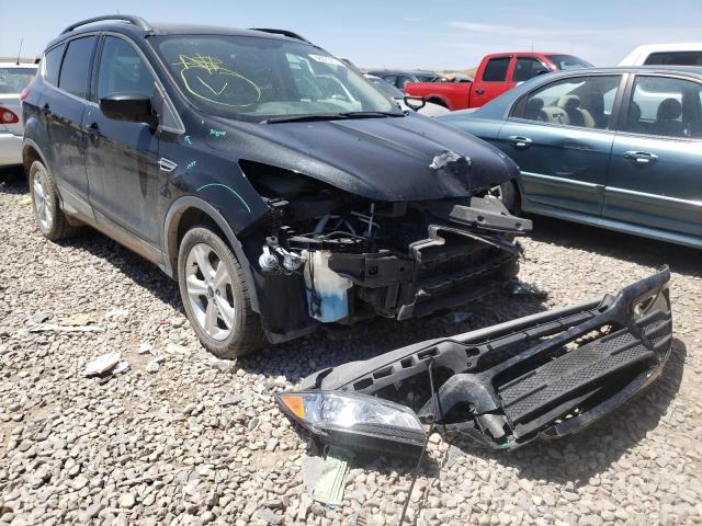 FORD ESCAPE SE 2014 with VIN 1FMCU0GX5EUC61480 - Photo from auction