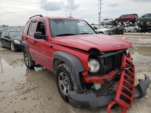 JEEP LIBERTY SP 2003 with VIN 1J4GL48K93W576409 - Photo from auction