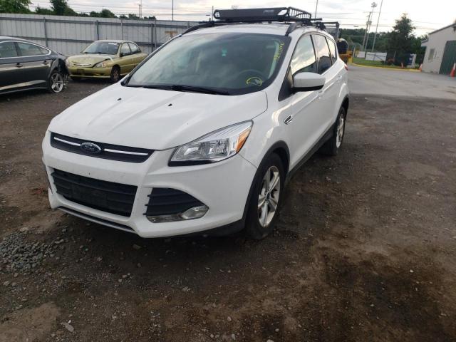 Photo 2 from auction – 2014 FORD ESCAPE SE with VIN 1FMCU9G99EUD74046