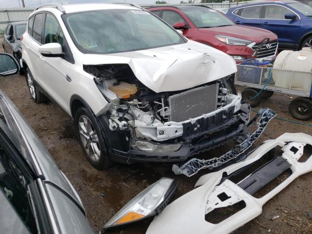 Photo 1 from auction – 2014 FORD ESCAPE TIT with VIN 1FMCU9J9XEUA92314