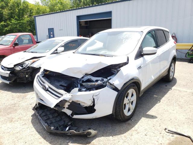 Photo 2 from auction – 2014 FORD ESCAPE SE with VIN 1FMCU0GXXEUC23503