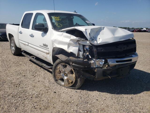 CHEVROLET SILVERADO 2009 with VIN 3GCEC23079G275426 - Photo from auction