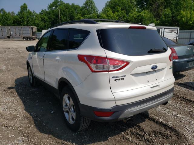 Photo 3 from auction – 2014 FORD ESCAPE SE with VIN 1FMCU0G90EUA73127