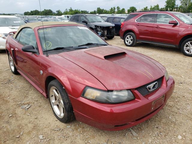 Photo 9 from auction – 2004 FORD MUSTANG GT with VIN 1FAFP45X54F168535