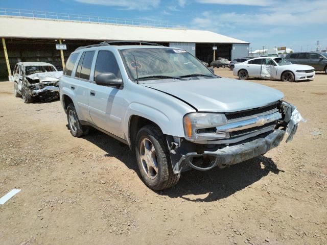CHEVROLET TRAILBLAZE 2007 with VIN 1GNDS13S172273257 - Photo from auction