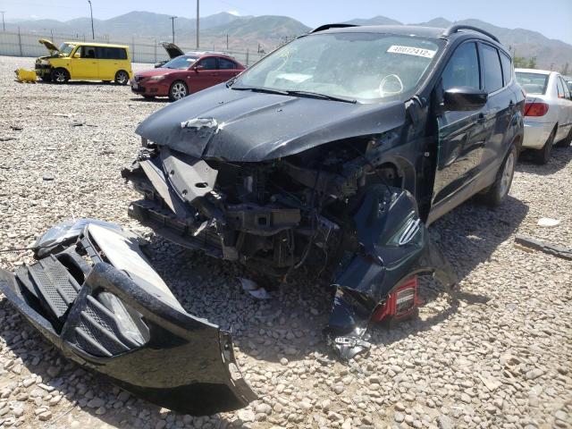 Photo 2 from auction – 2014 FORD ESCAPE SE with VIN 1FMCU0GX5EUC61480