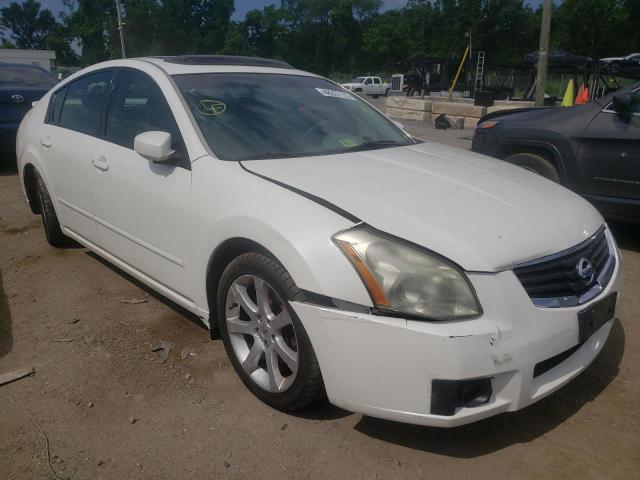 NISSAN MAXIMA SE 2008 with VIN 1N4BA41E48C836644 - Photo from auction