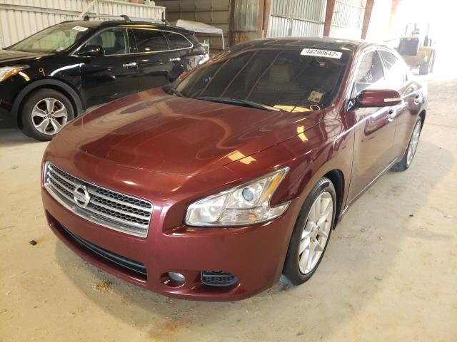 Photo 2 from auction – 2009 NISSAN MAXIMA S with VIN 1N4AA51E69C844280