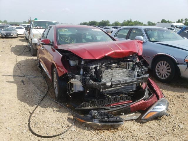 Photo 1 from auction – 2016 HYUNDAI SONATA SPO with VIN 5NPE34AFXGH261429