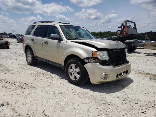 FORD ESCAPE XLT 2010 with VIN 1FMCU0D75AKA93494 - Photo from auction