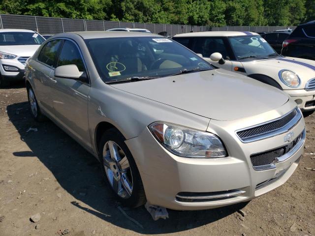 CHEVROLET MALIBU 2LT 2011 with VIN 1G1ZD5EU4BF249849 - Photo from auction