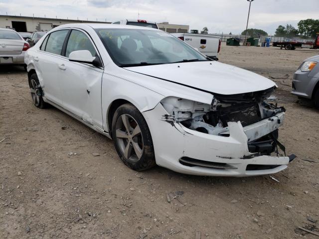 Photo 1 from auction – 2011 CHEVROLET MALIBU 1LT with VIN 1G1ZC5EU9BF133064