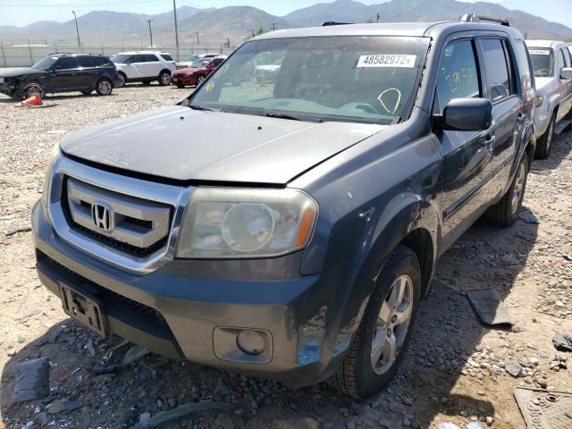 Photo 2 from auction – 2009 HONDA PILOT EXL with VIN 5FNYF48609B031748