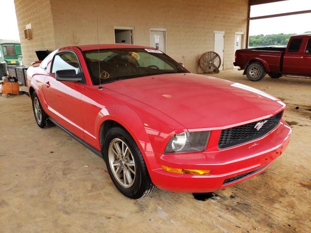 FORD MUSTANG 2005 with VIN 1ZVFT80N255124127 - Photo from auction
