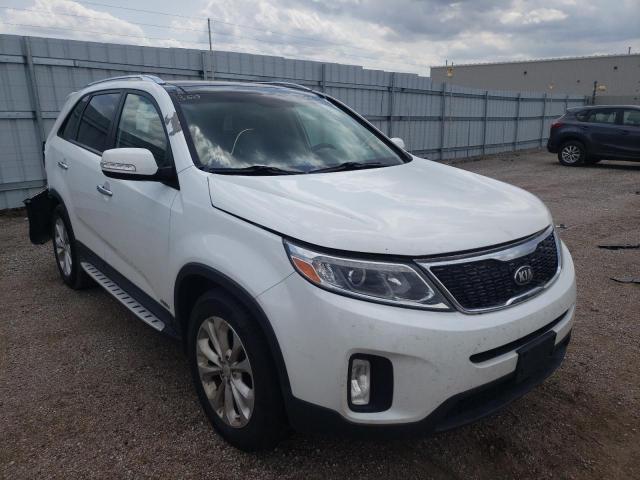 KIA SORENTO EX 2014 with VIN 5XYKUDA74EG497524 - Photo from auction