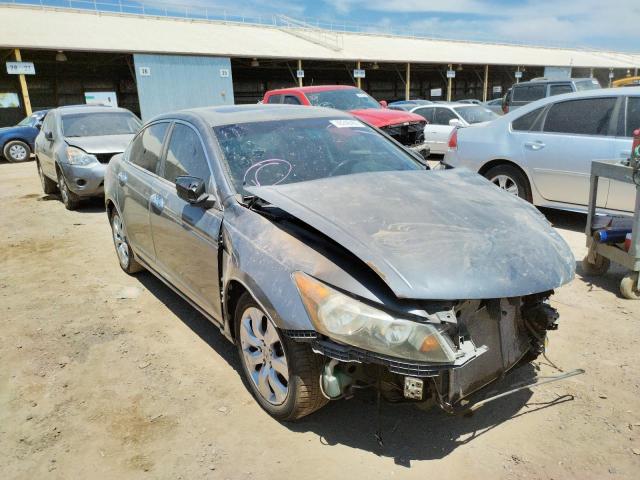 HONDA ACCORD EXL 2010 with VIN 5KBCP3F87AB004865 - Photo from auction
