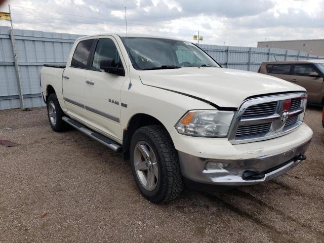 DODGE RAM 1500 2010 with VIN 1D7RV1CT3AS227148 - Photo from auction
