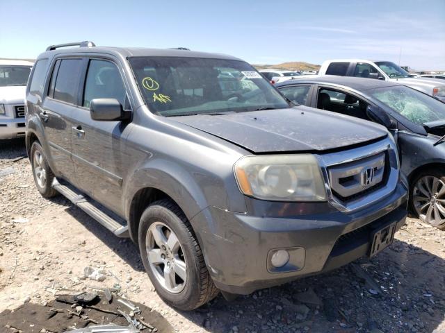 HONDA PILOT EXL 2009 with VIN 5FNYF48609B031748 - Photo from auction