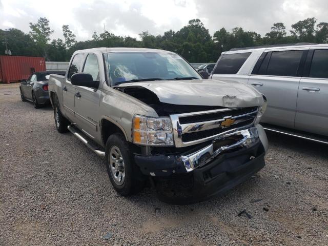 CHEVROLET SILVERADO 2009 with VIN 2GCEC23C191136332 - Photo from auction
