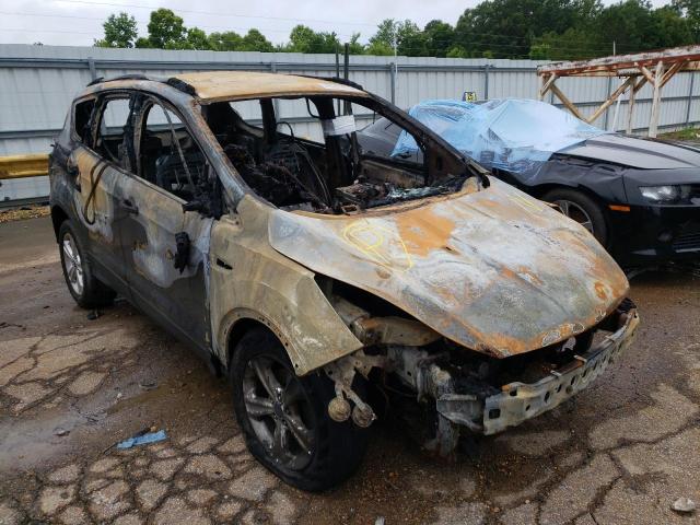 FORD ESCAPE SE 2014 with VIN 1FMCU0GX5EUB96095 - Photo from auction