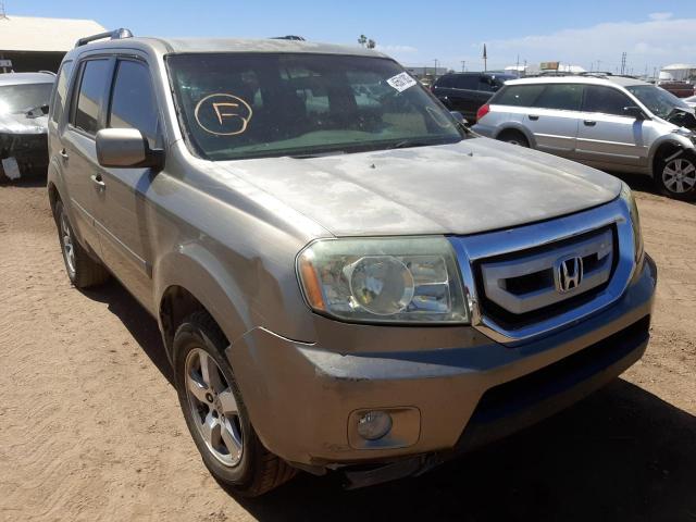 HONDA PILOT EX 2009 with VIN 5FNYF38449B003993 - Photo from auction