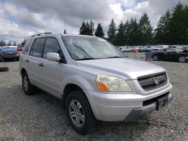 HONDA PILOT EX 2005 with VIN 5FNYF184X5B059337 - Photo from auction