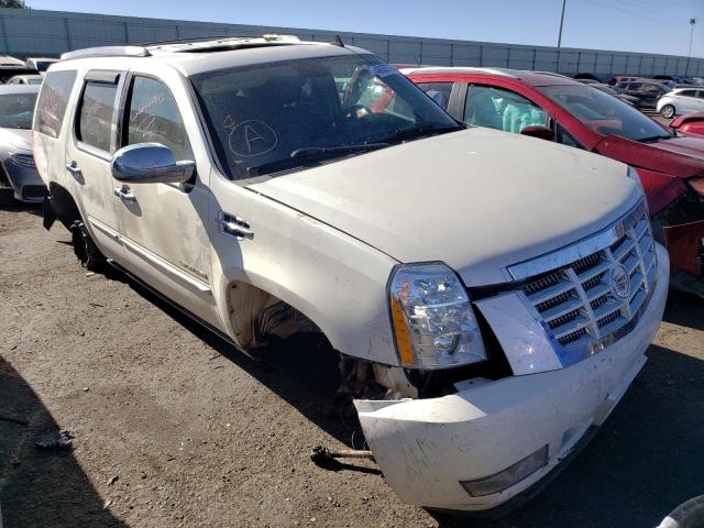 CADILLAC ESCALADE P 2011 with VIN 1GYS4CEF4BR144820 - Photo from auction
