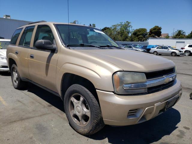 CHEVROLET TRAILBLAZE 2007 with VIN 1GNDS13S272279973 - Photo from auction