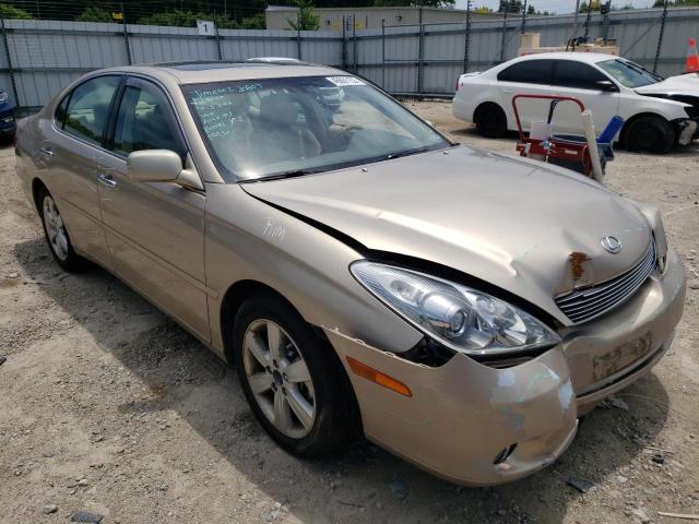LEXUS ES 330 2005 with VIN JTHBA30G755061407 - Photo from auction