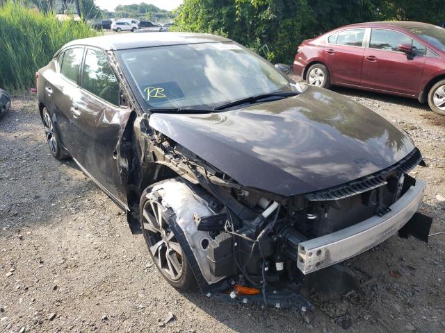 NISSAN MAXIMA 3.5 2016 with VIN 1N4AA6AP4GC445744 - Photo from auction