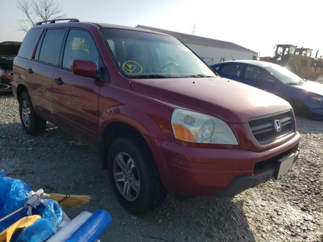HONDA PILOT EXL 2003 with VIN 2HKYF18503H594135 - Photo from auction